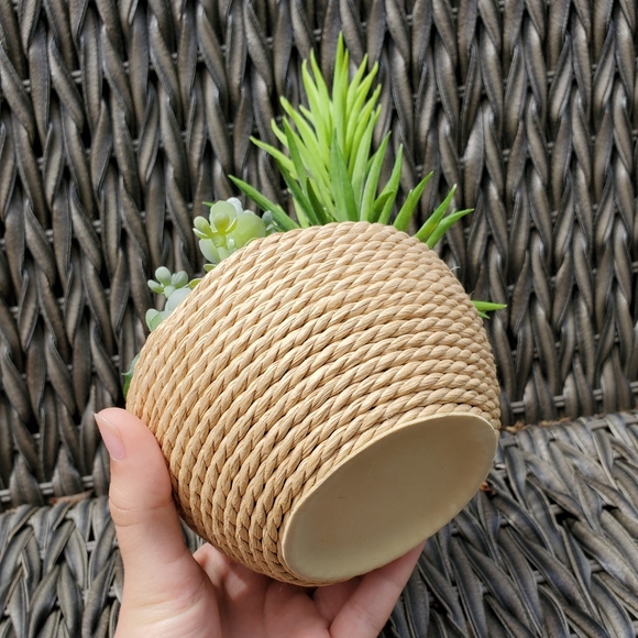 Gorgous Fake Cactus Plant🌵 - Picture 6 of 6